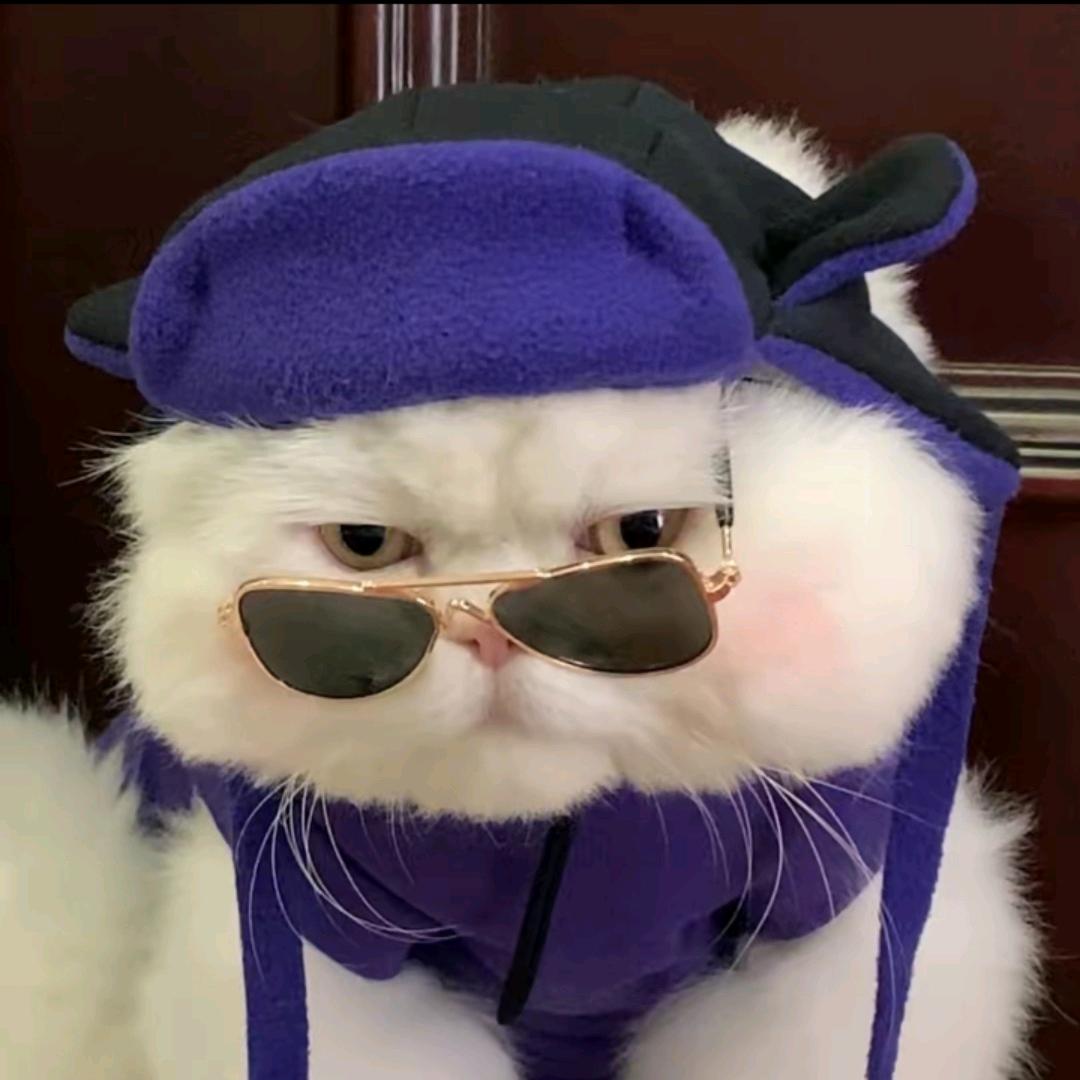 公主👑