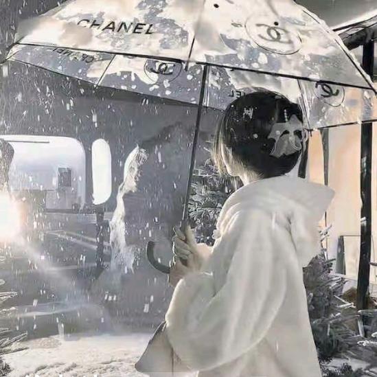 腊梅花