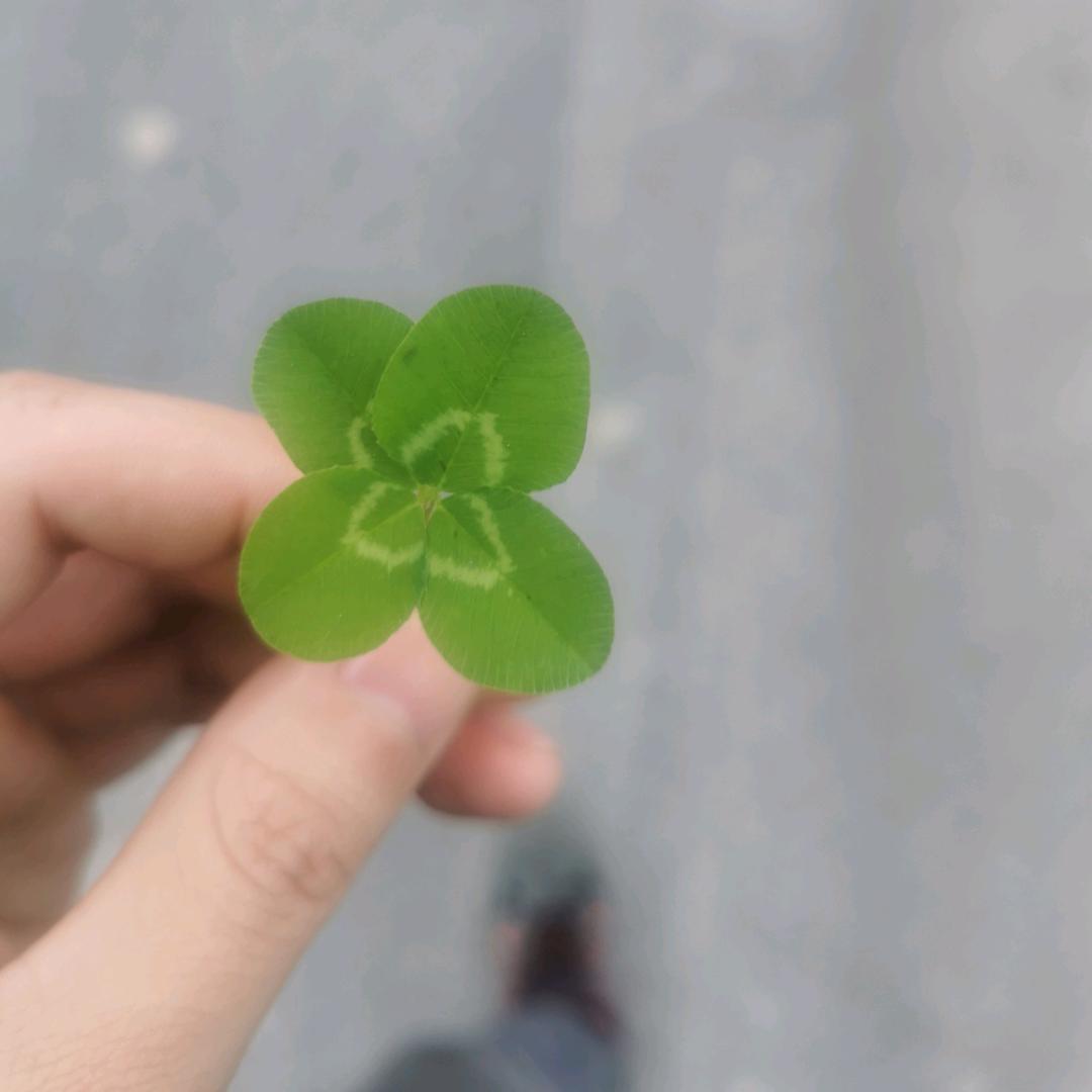 查找传奇