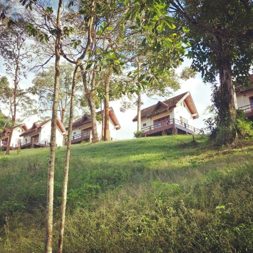 用户6301972413929向往明天