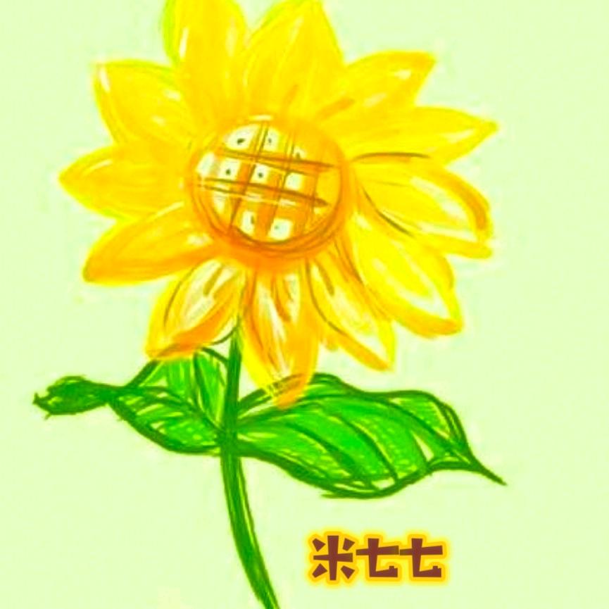 米七七🌻