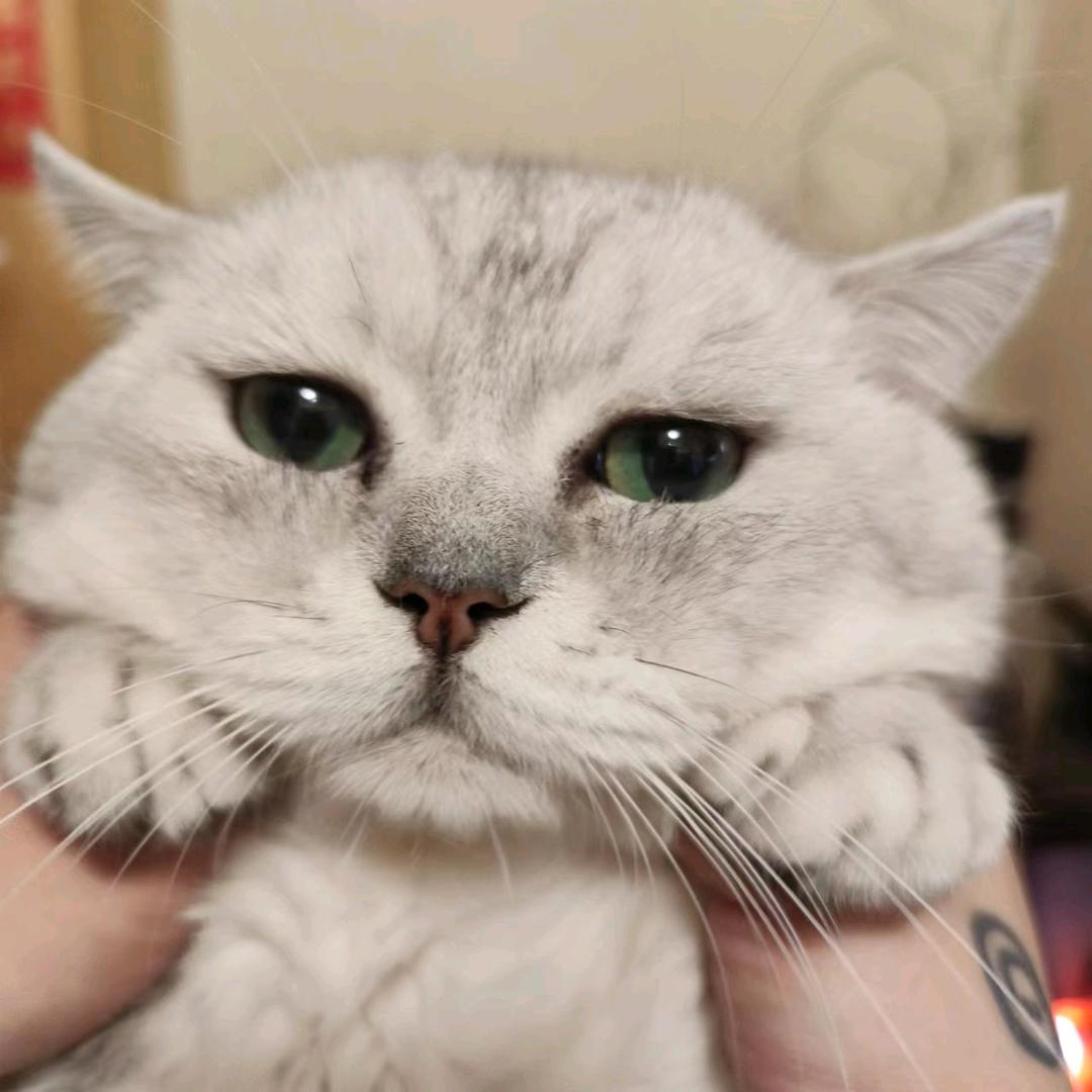 休息一下吧
