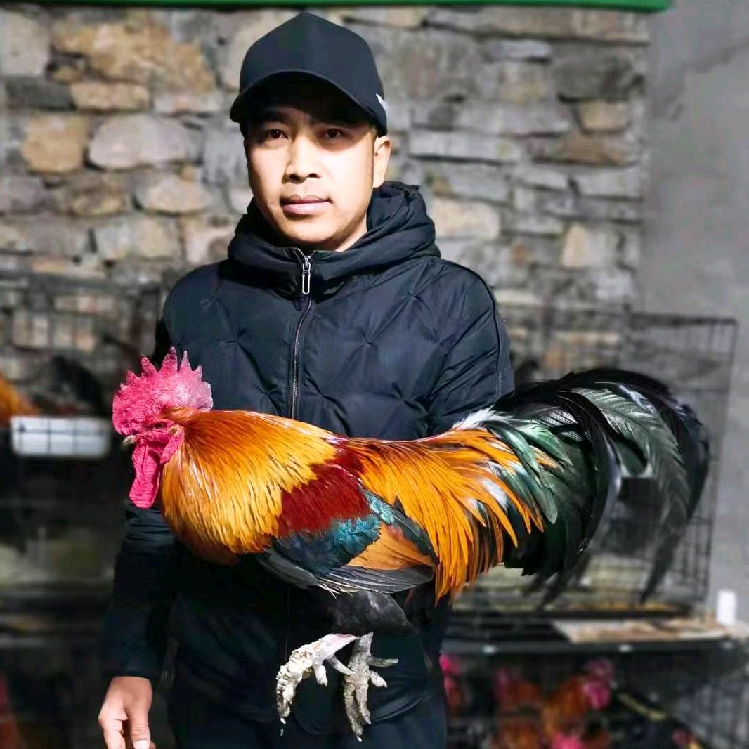 弋杨乡村土货