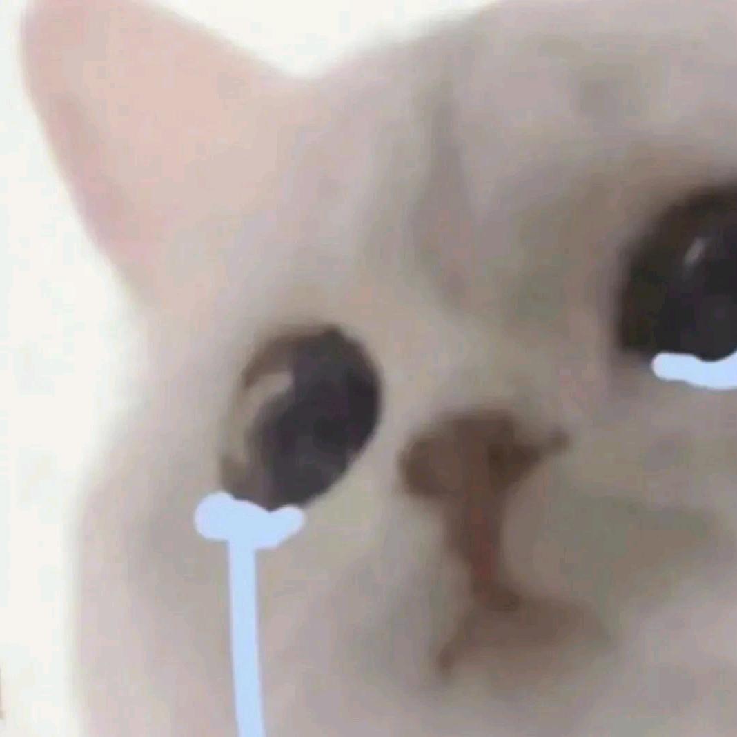 咕咕.