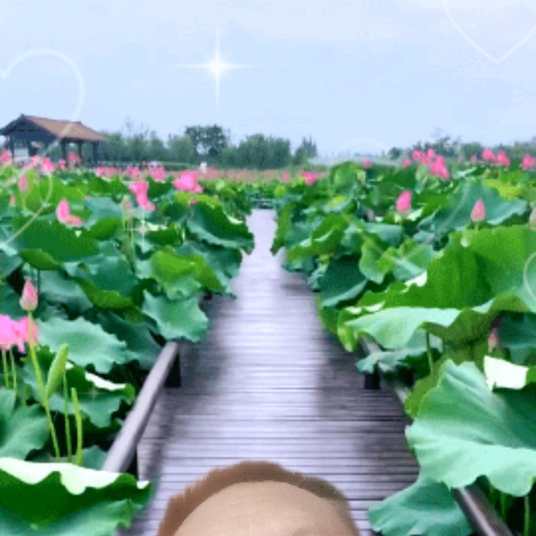杨周