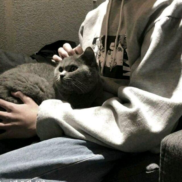 涯