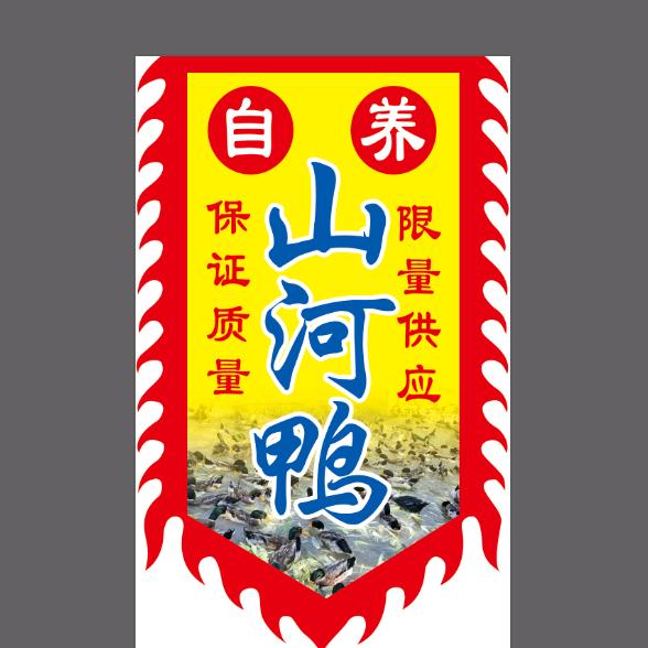 自养山河鸭