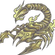 平陆县顺泰养殖有限公司+条山全蝎