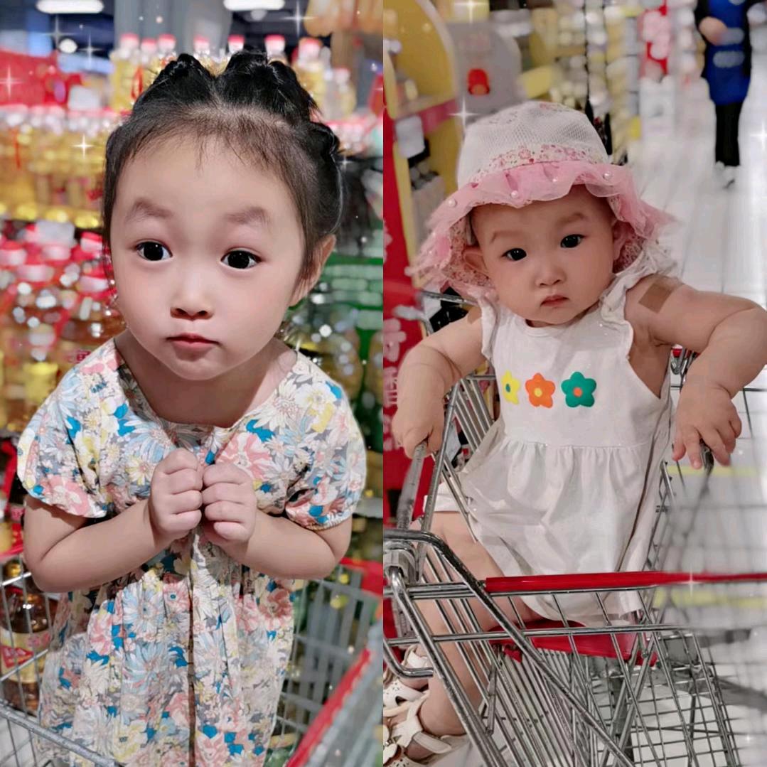 张仙女的两小只