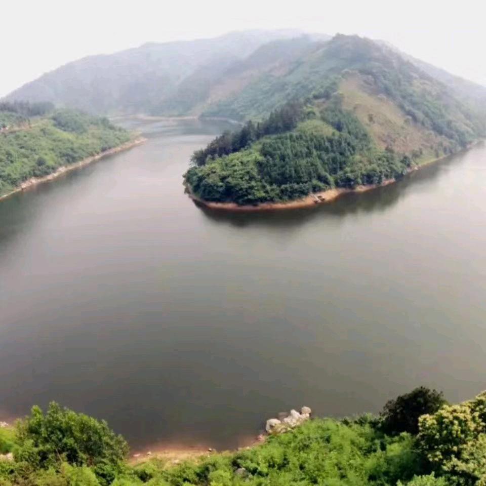 美卉
