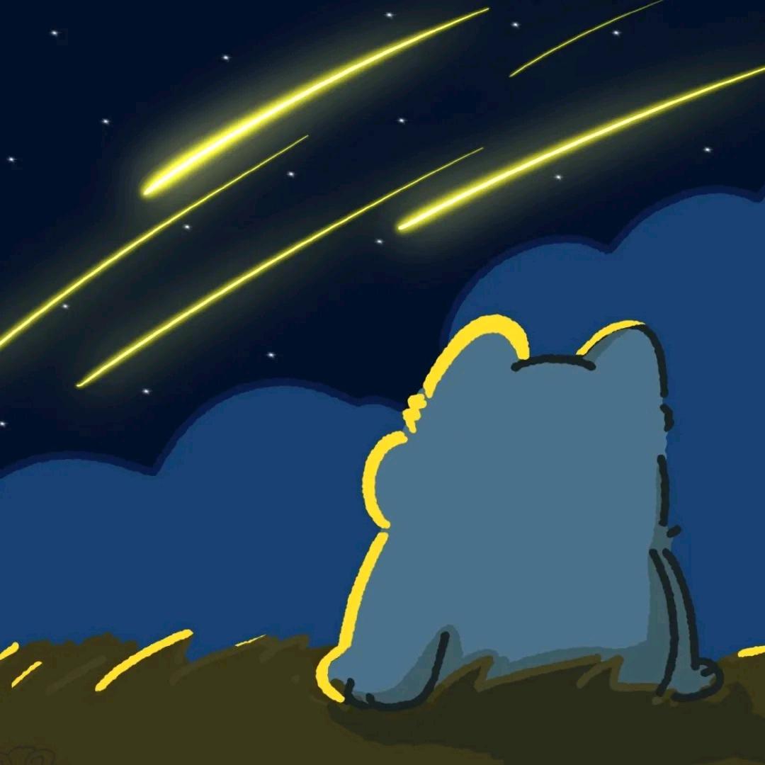 剑眉星目的冷漠大美人