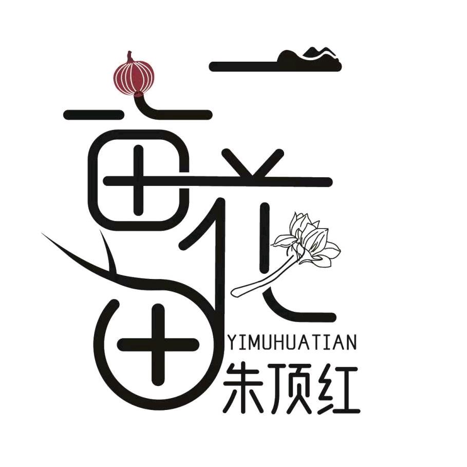 一亩花田朱顶红