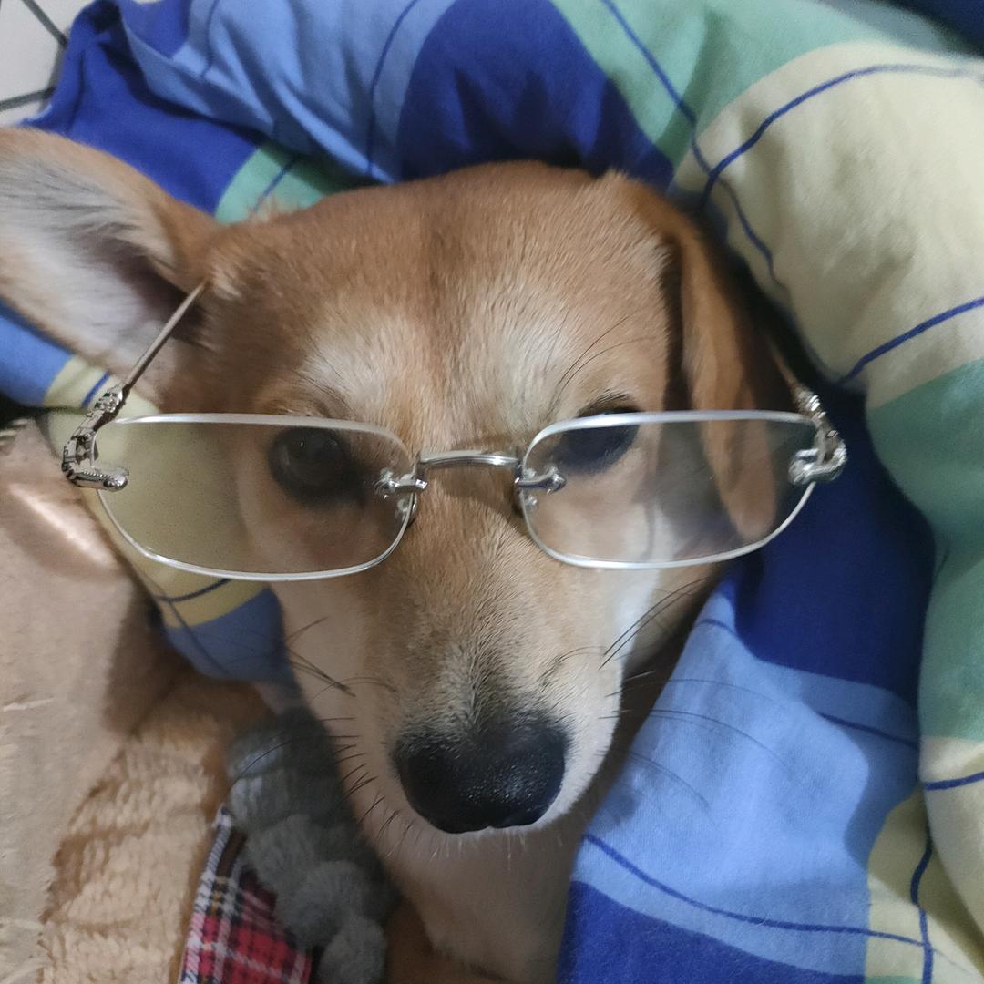 一生何求