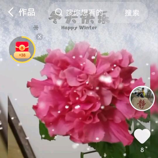 放飛自我，展現未來