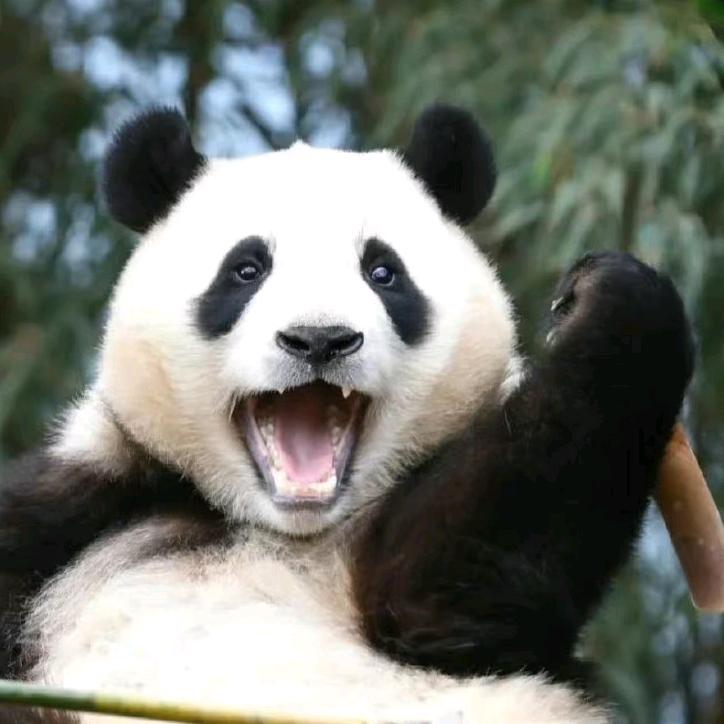 木鱼也敲不出功德