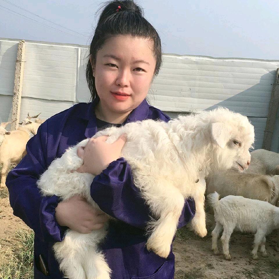 隆越兴牧牛羊饲料-李影