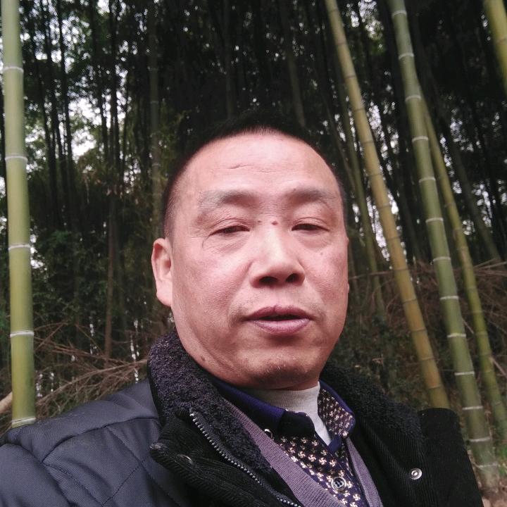 你的月亮，我的心