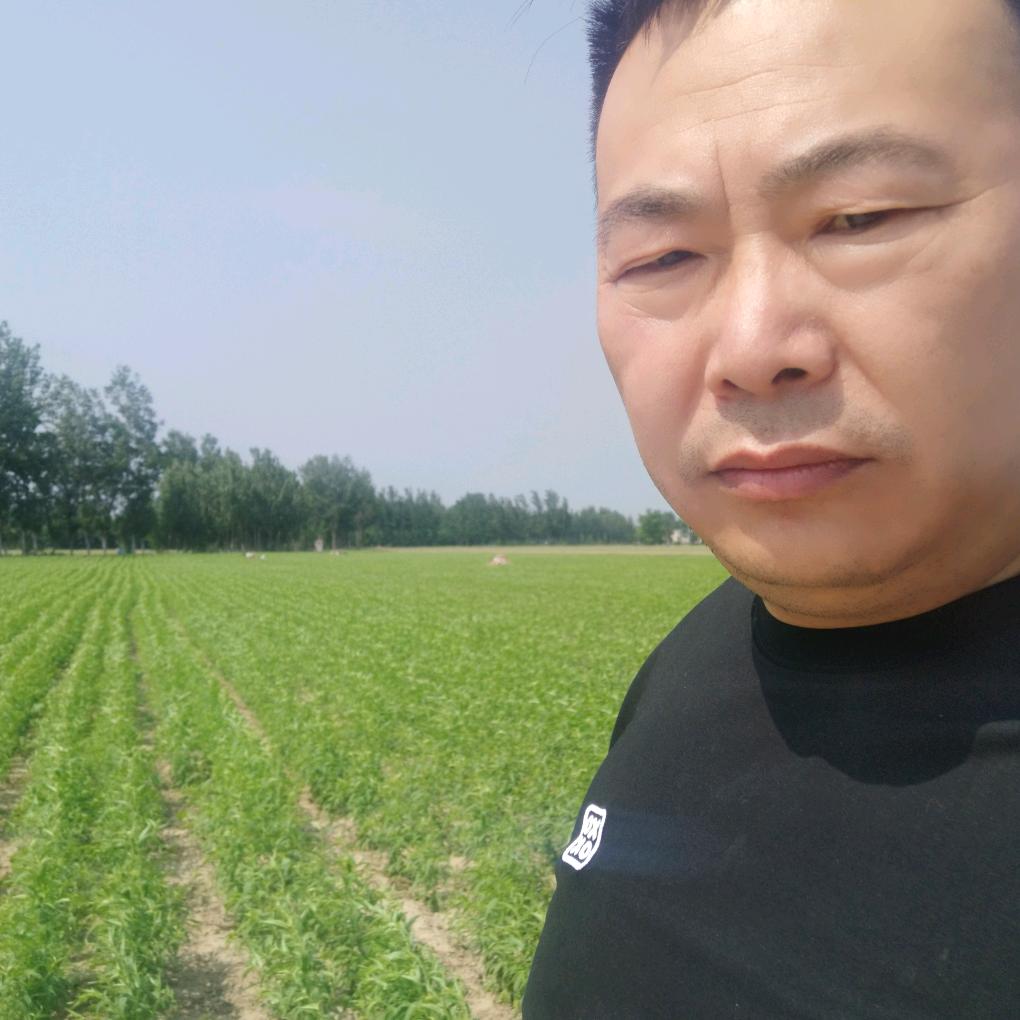 溥畔美图专卖店