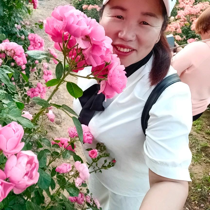 玲姐儿
