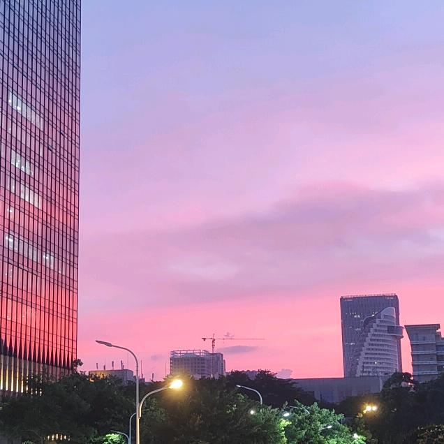 ✨“   ʕ • ̫͡ • ʕ:  星星