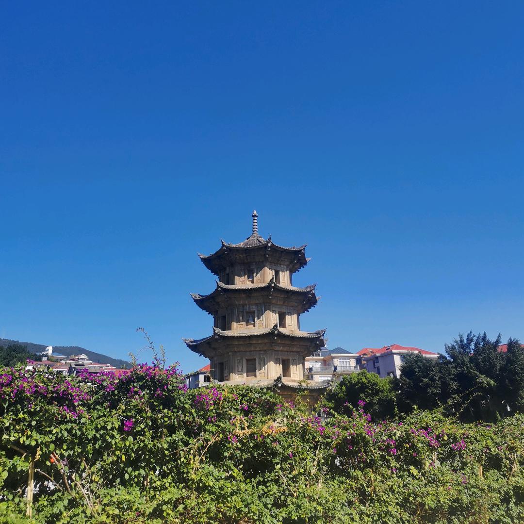 紫色偶然柒牌
