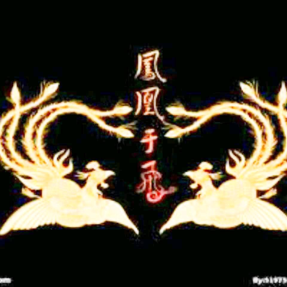 鳯凰于飞