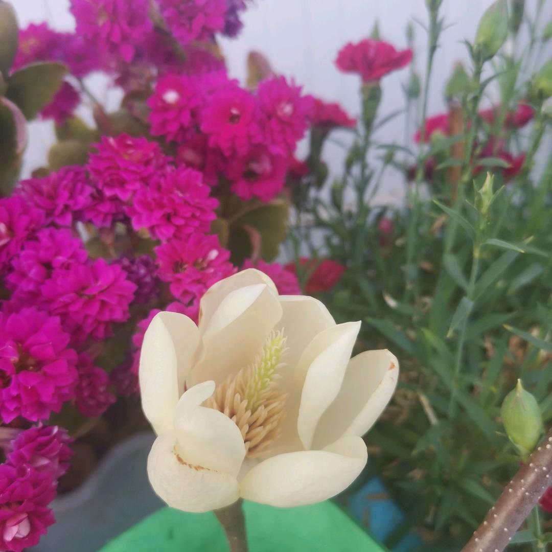 铭澄