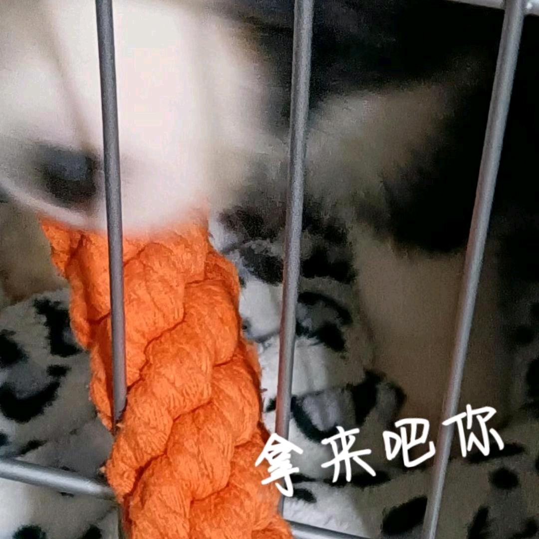 佑佑OVO