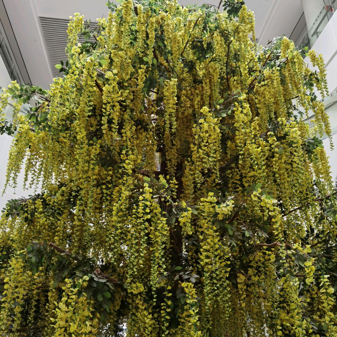小仙女的成长记录
