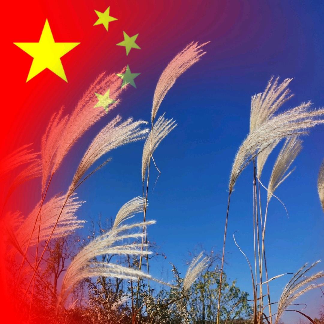 落叶沉舟