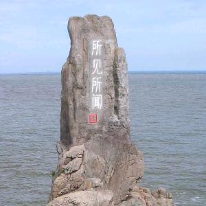 预见更好的自己