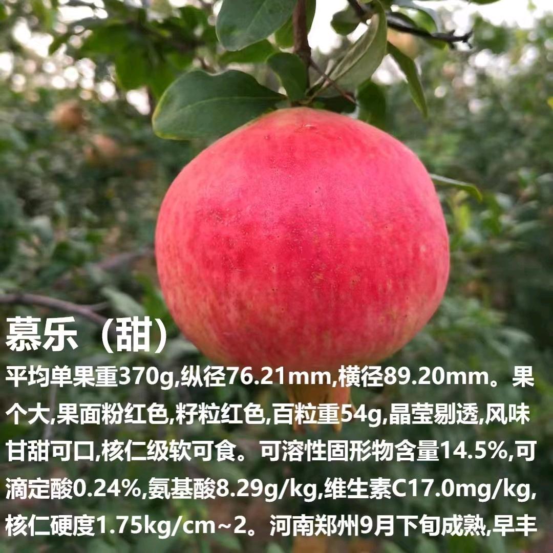 郑州榴阳生态农业有限公司
