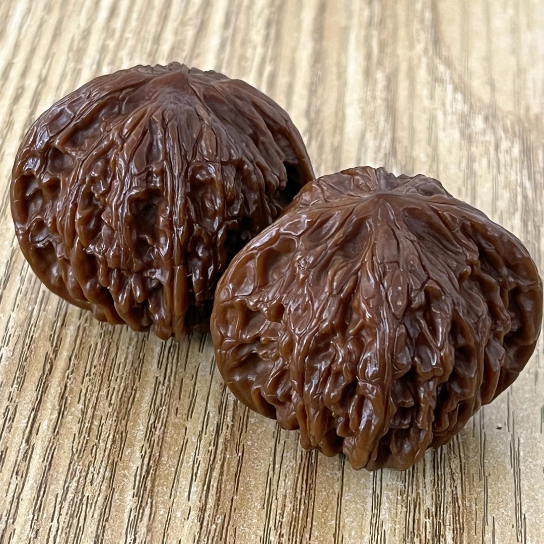 台铃电动车(团结中路2店)专用号