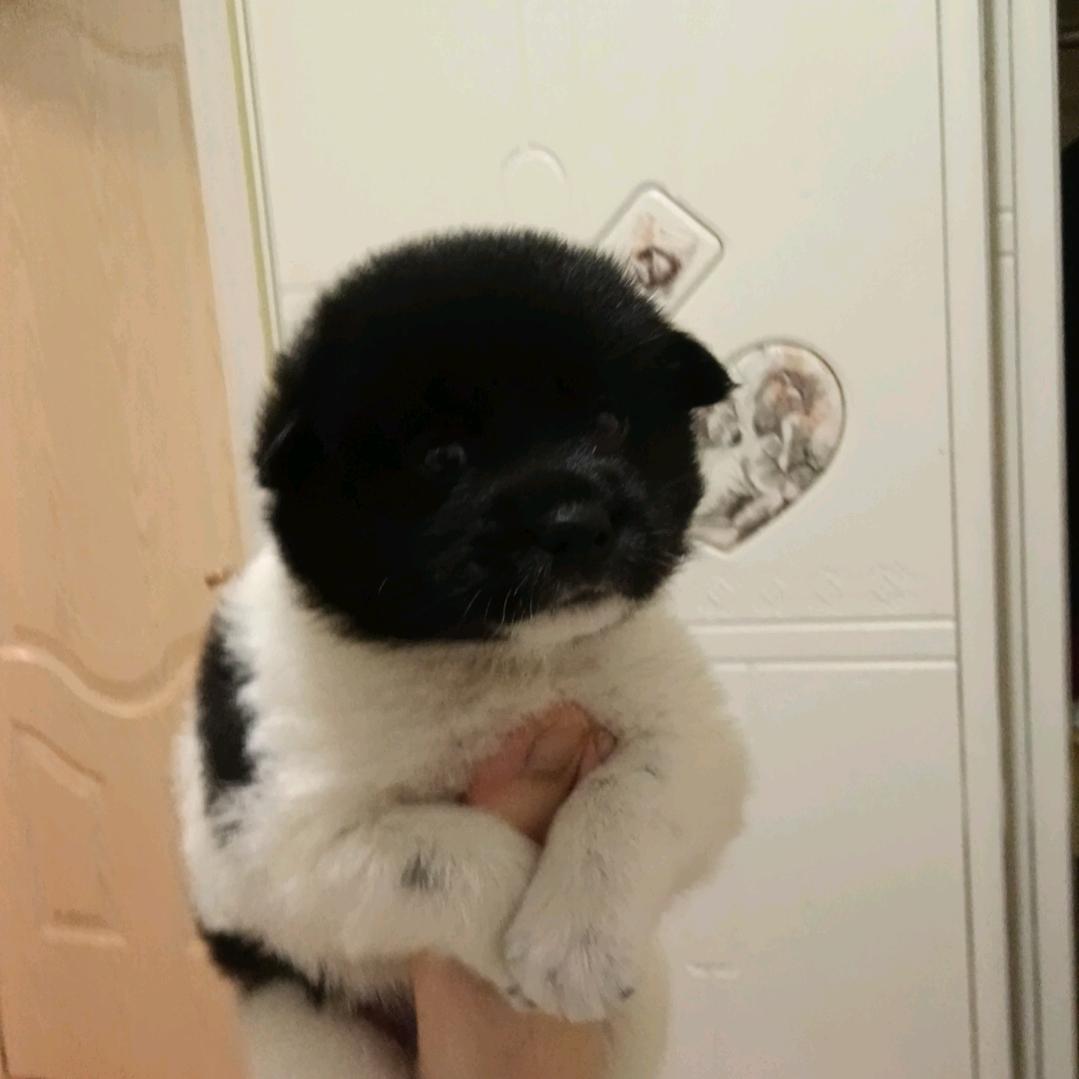 如此安好