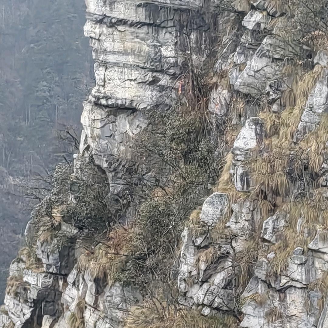 张相杨