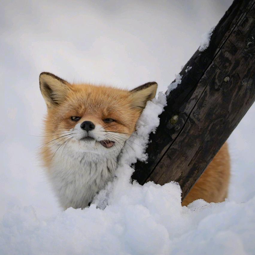 超乖小财迷👧🏻✨：）