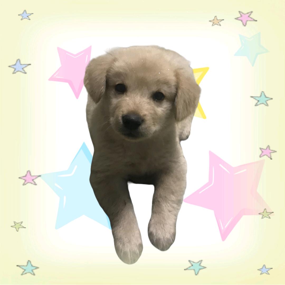 玖玖「百念好何贪念版♥️」