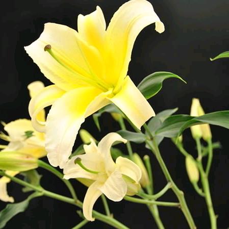 &杨杨得亿&