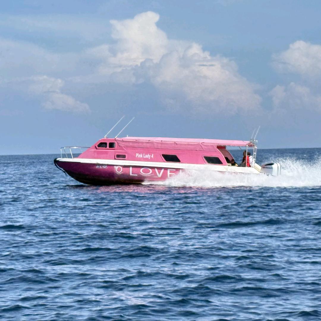 台州美的家电优选