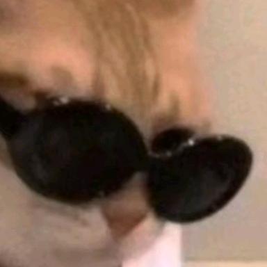 猫meme小剧场