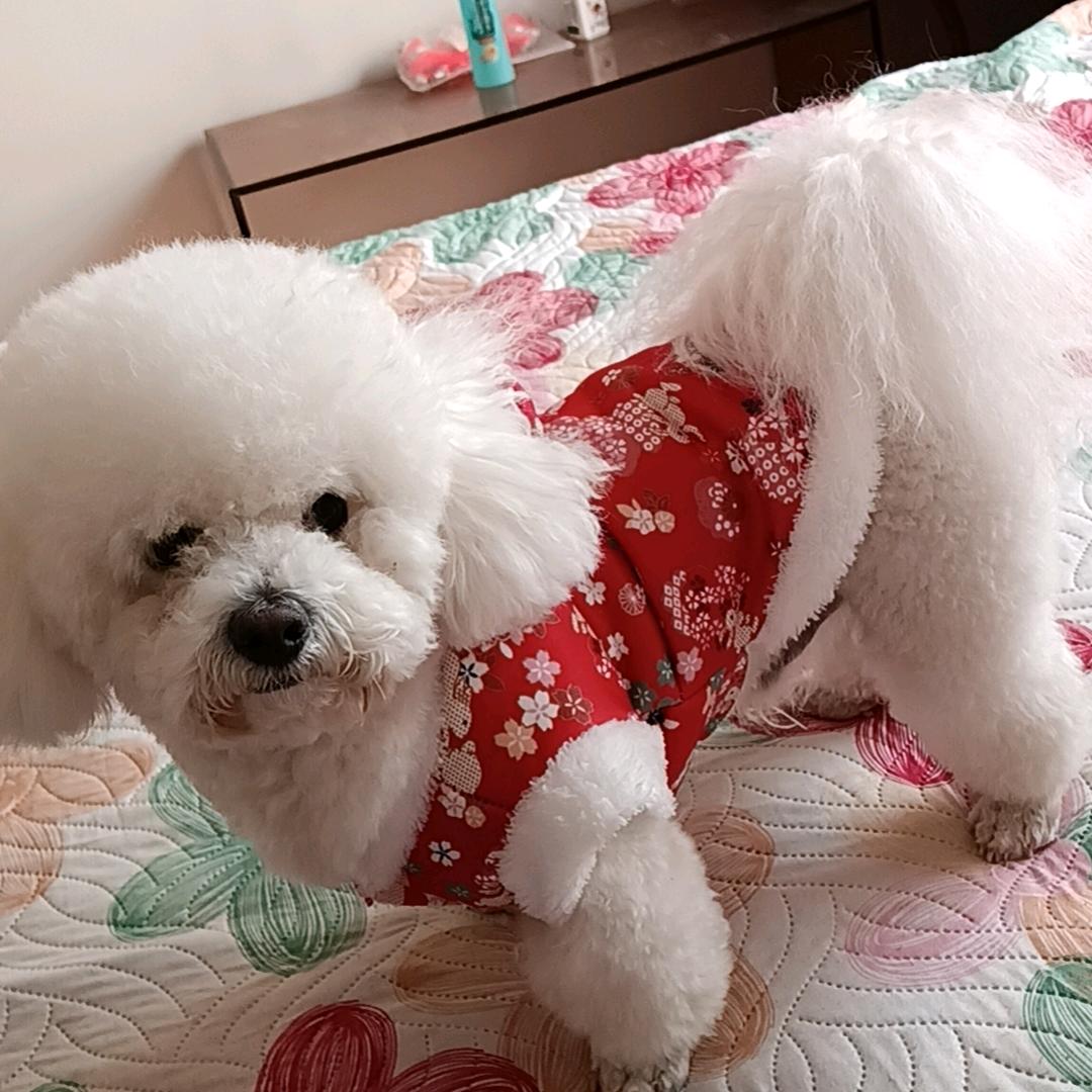 远去的回忆