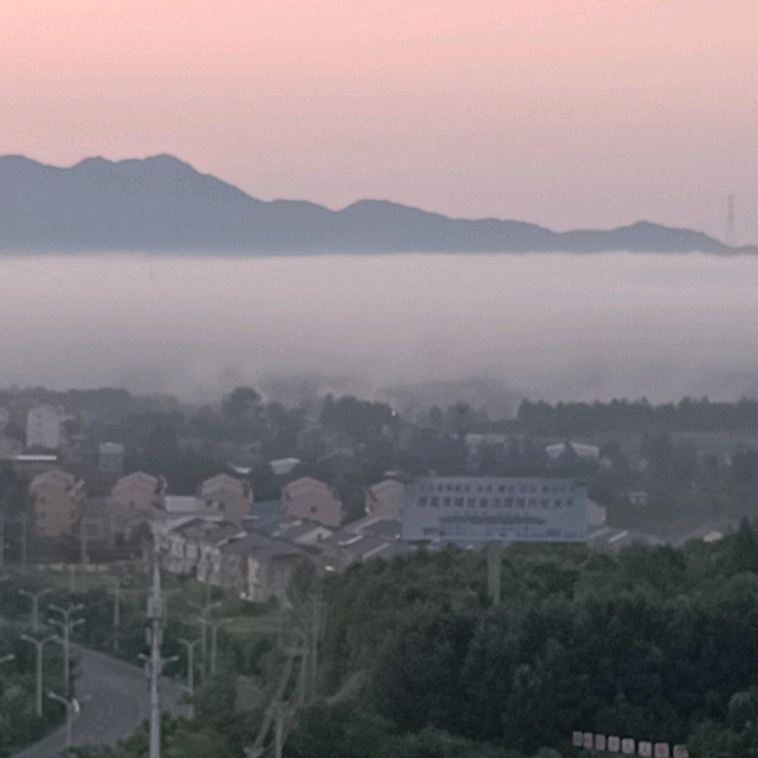 志