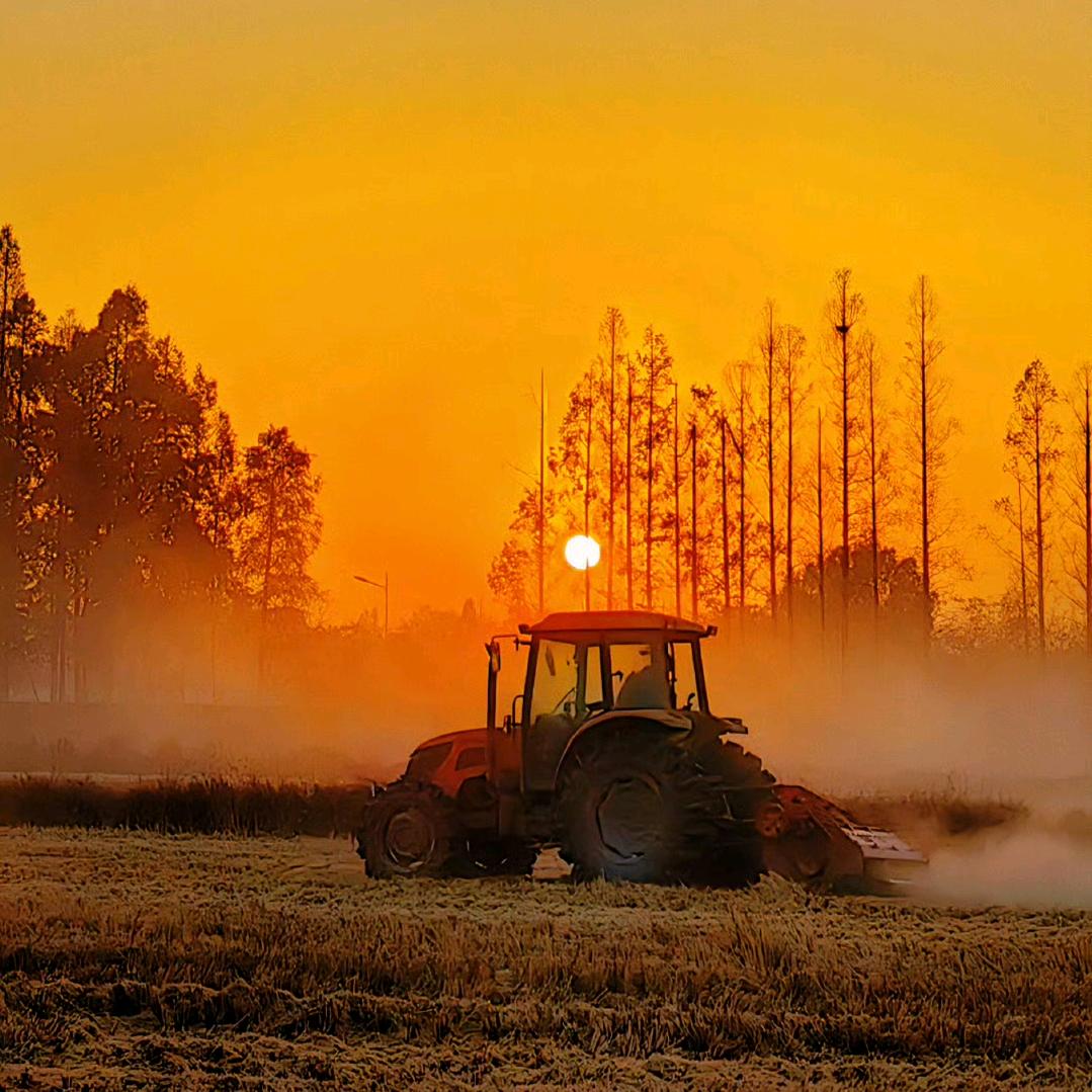 星期天不上发条✨