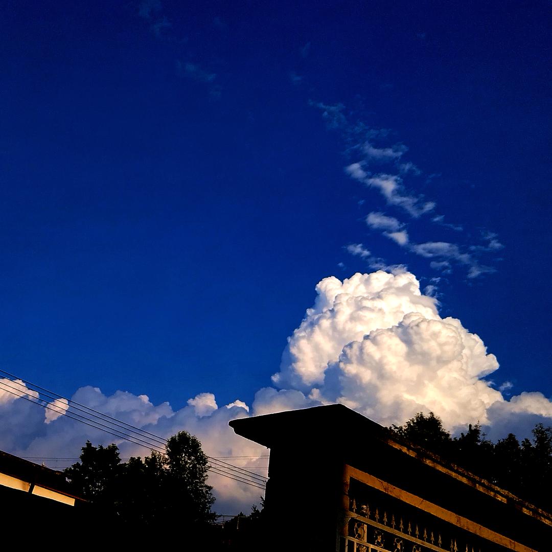 不眠岛（宁芙奖请投入殓师）