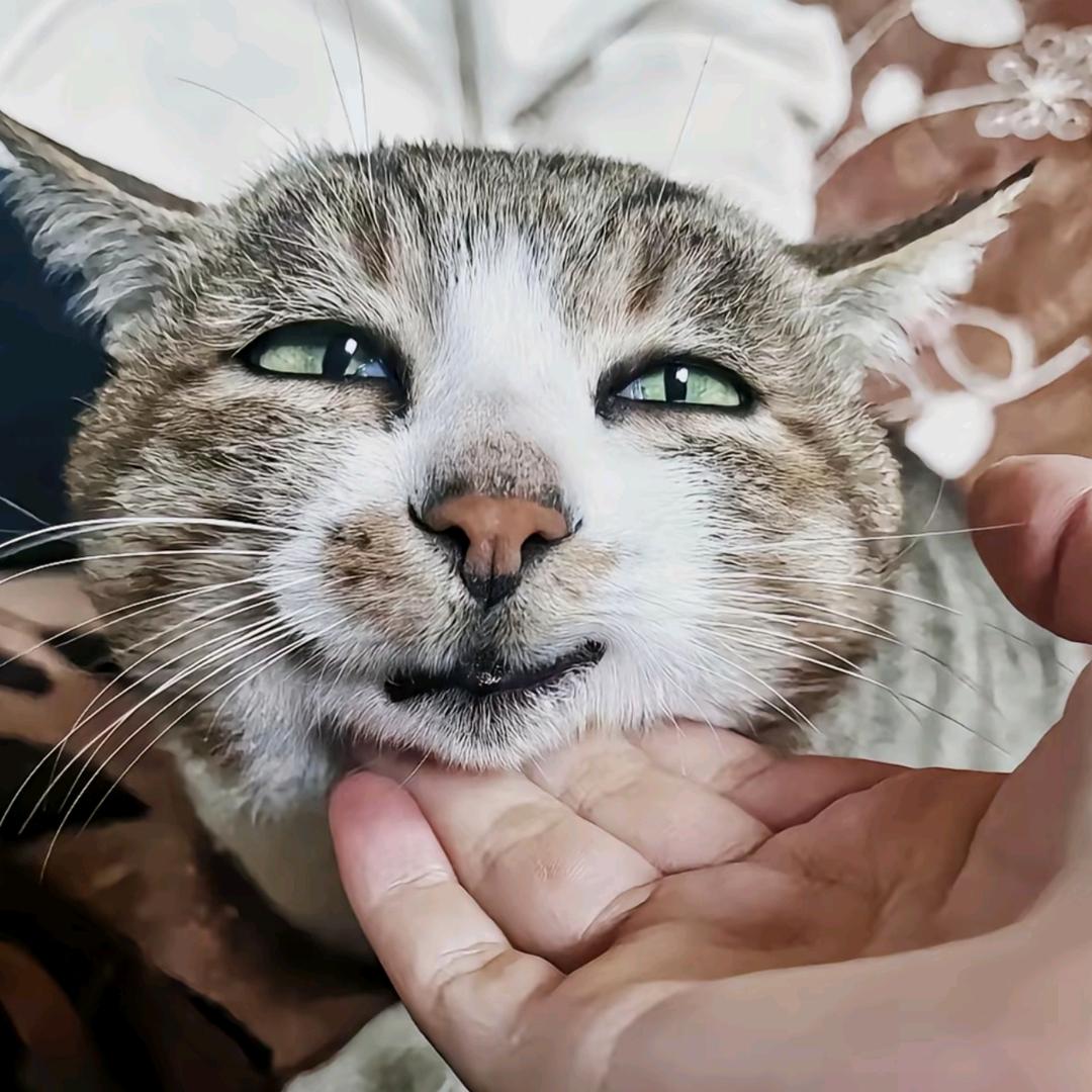 柒柒别歪我这