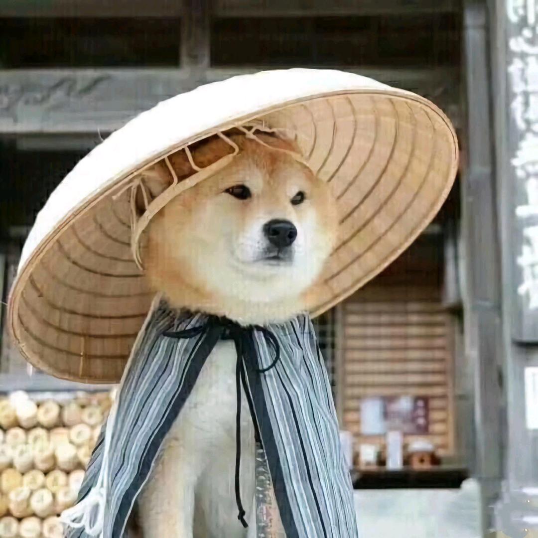 宜笑动物频道