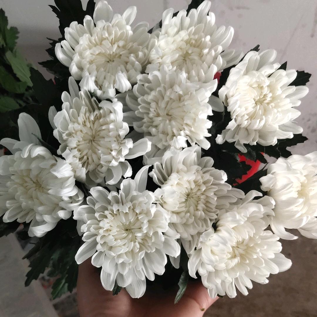 人生苦短，不用你管