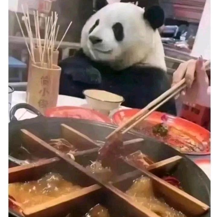 豆肩包