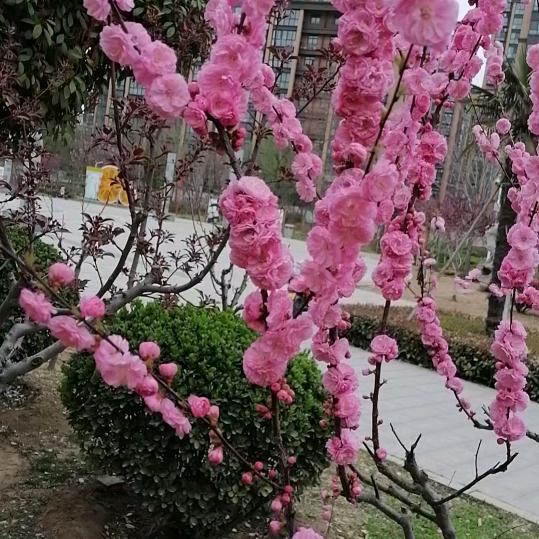 i好好好好好好好好好好i好给跟给跟给跟给
