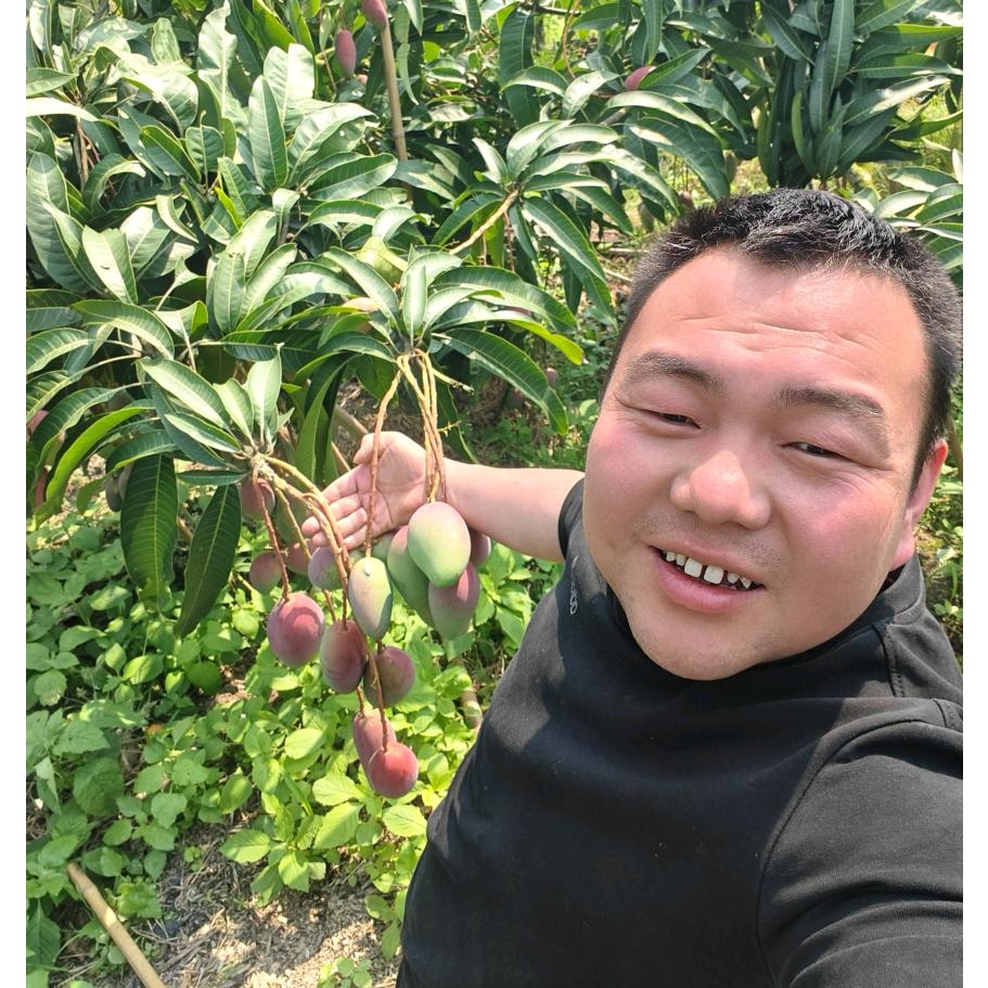力力果业全国（代收，代发）